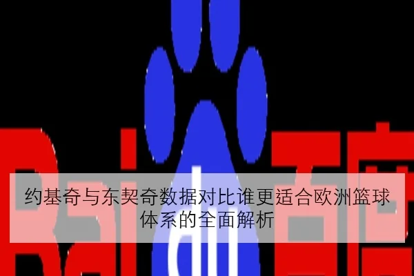 约基奇与东契奇数据对比谁更适合欧洲篮球体系的全面解析